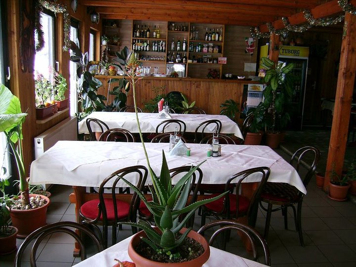 Colibița Ariniș – interior restaurant