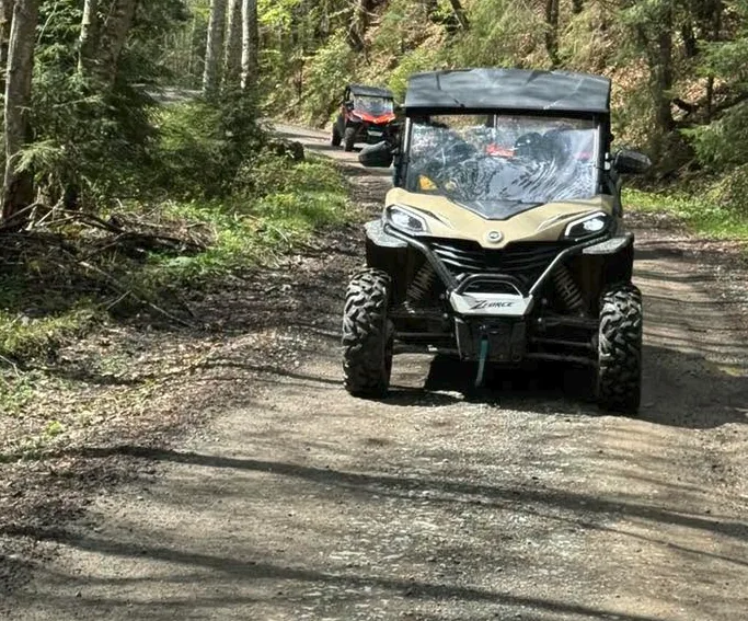 Inchirieri Buggy Colibita - imagine 3