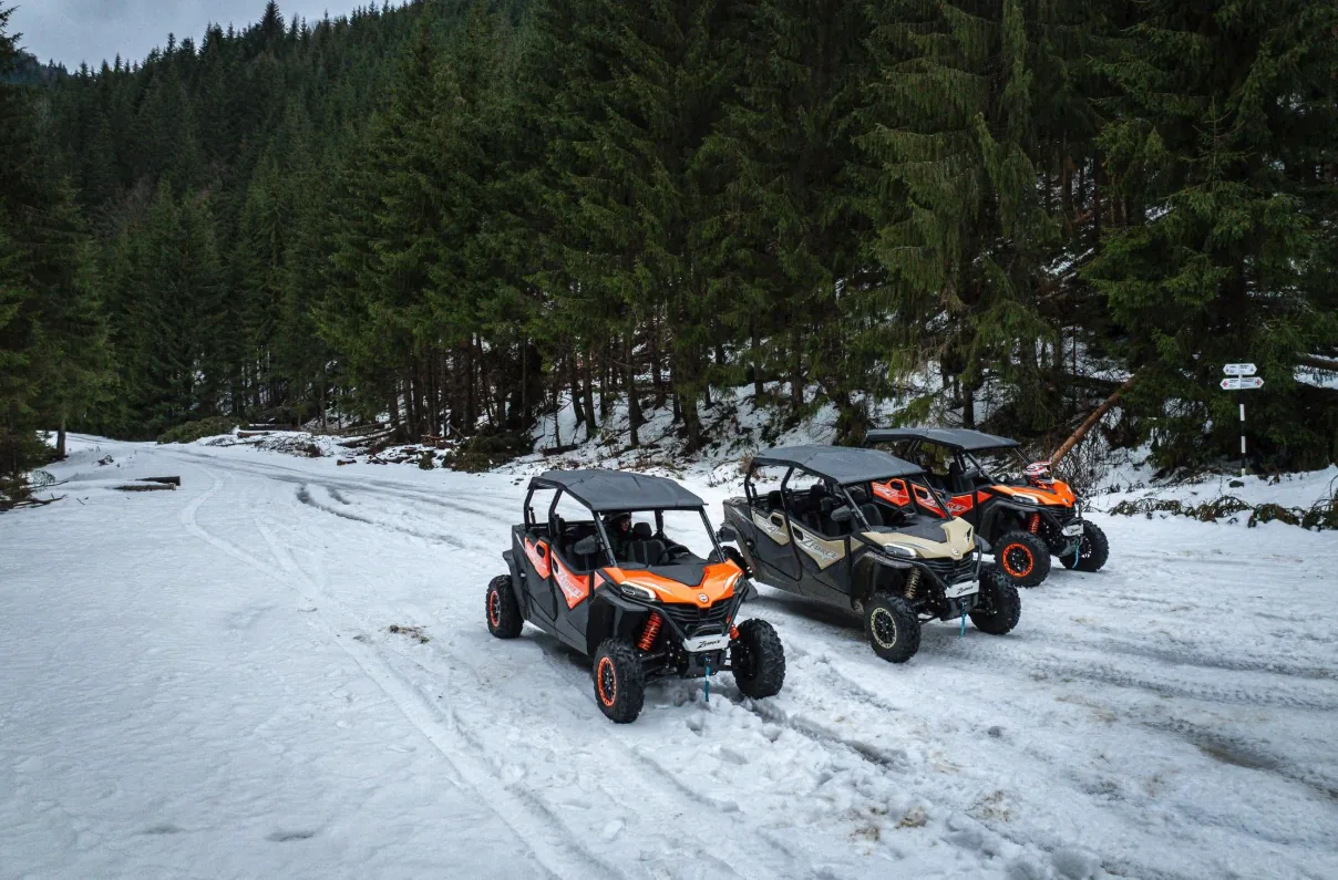 Inchirieri Buggy Colibita - imagine 10