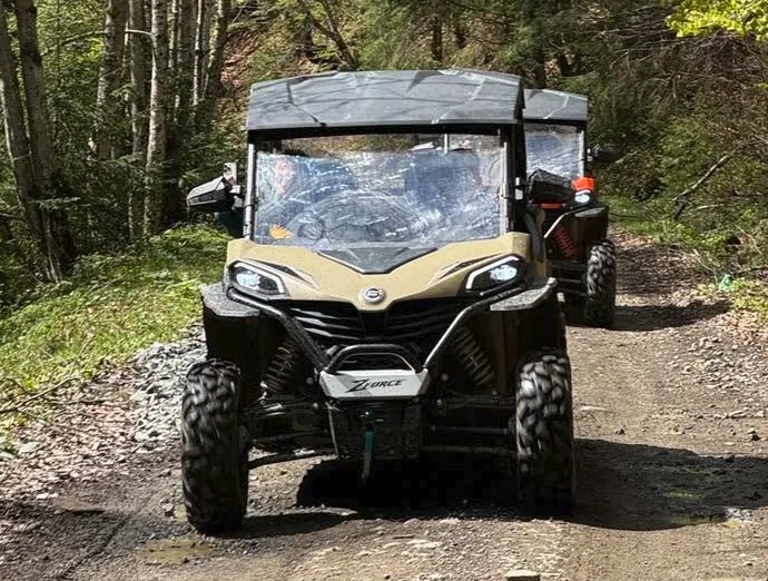 Inchirieri Buggy Colibita - imagine 5